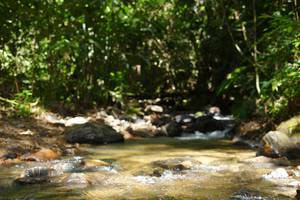 BIB: 
                            <button type="button" onclick="openModal(21852931)" class="btn btn-primary btn-sm float-right btn-popup" data-toggle="modal" data-target=".modal-high-quality">
                        <i class="fas fa-shopping-cart"></i> Add to Cart
                    </button>
                                            <button type="button" onclick="isThisMe(21852931, true)" class="btn btn-success btn-sm float-right btn-popup btn-isme hidden" data-toggle="tooltip" data-placement="bottom" title="นี่คือรูปของคุณใช่ไหม คลิกที่นี่เพื่อเอาเข้าอัลบั้ม">
                        <i class="fas fa-plus"></i> Add to album
                    </button>
                    <button type="button" onclick="isThisMe(21852931, false)" class="btn btn-warning btn-sm float-right btn-popup btn-isnotme hidden">
                        <i class="fas fa-ban"></i> Remove from album
                    </button>